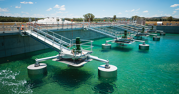 Turnkey solution for SEWAGE SLUDGE DRYING  for CETP